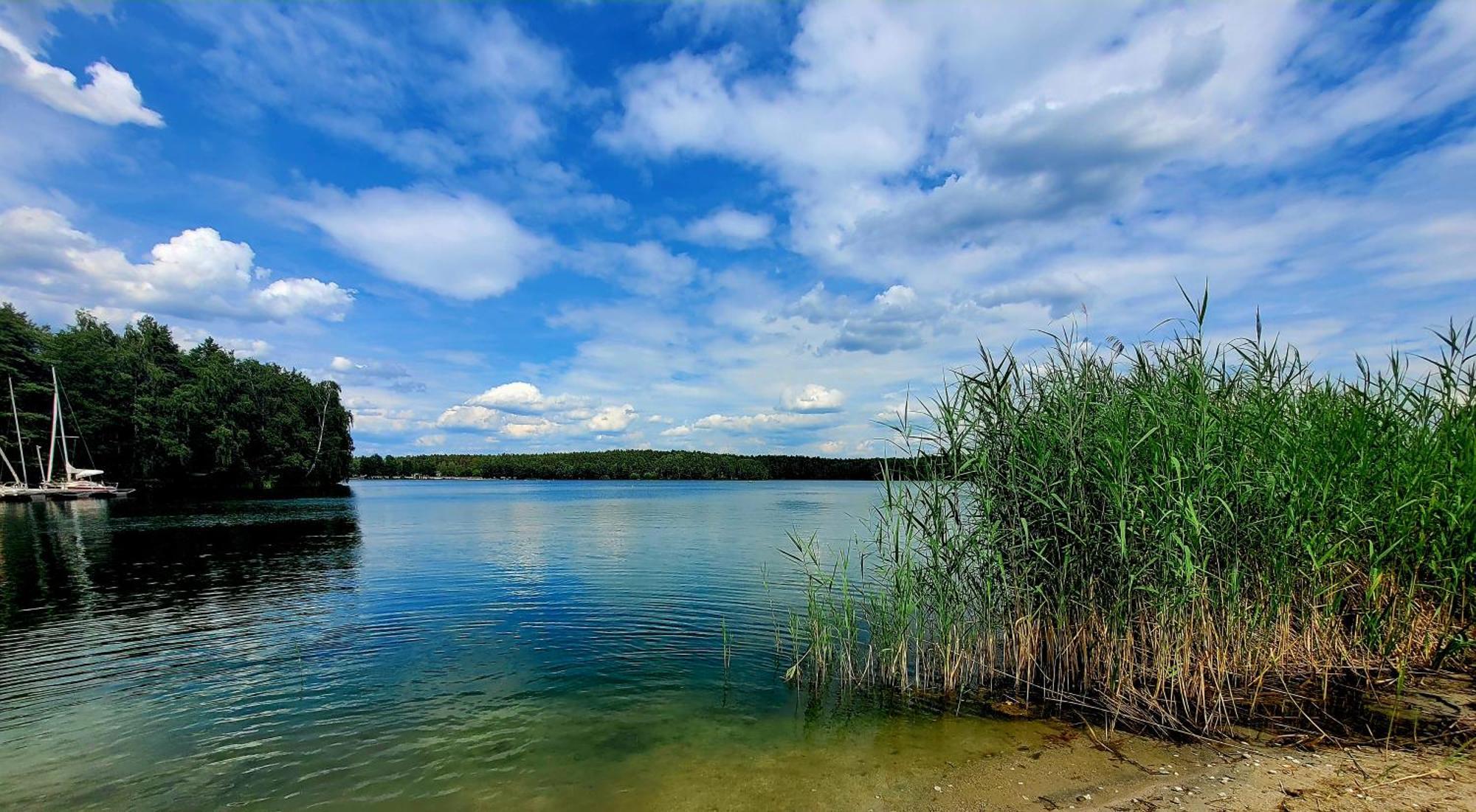 Ferienwohnung Seeglueck Im Oberpfaelzer Seenland Schwandorf Exterior foto